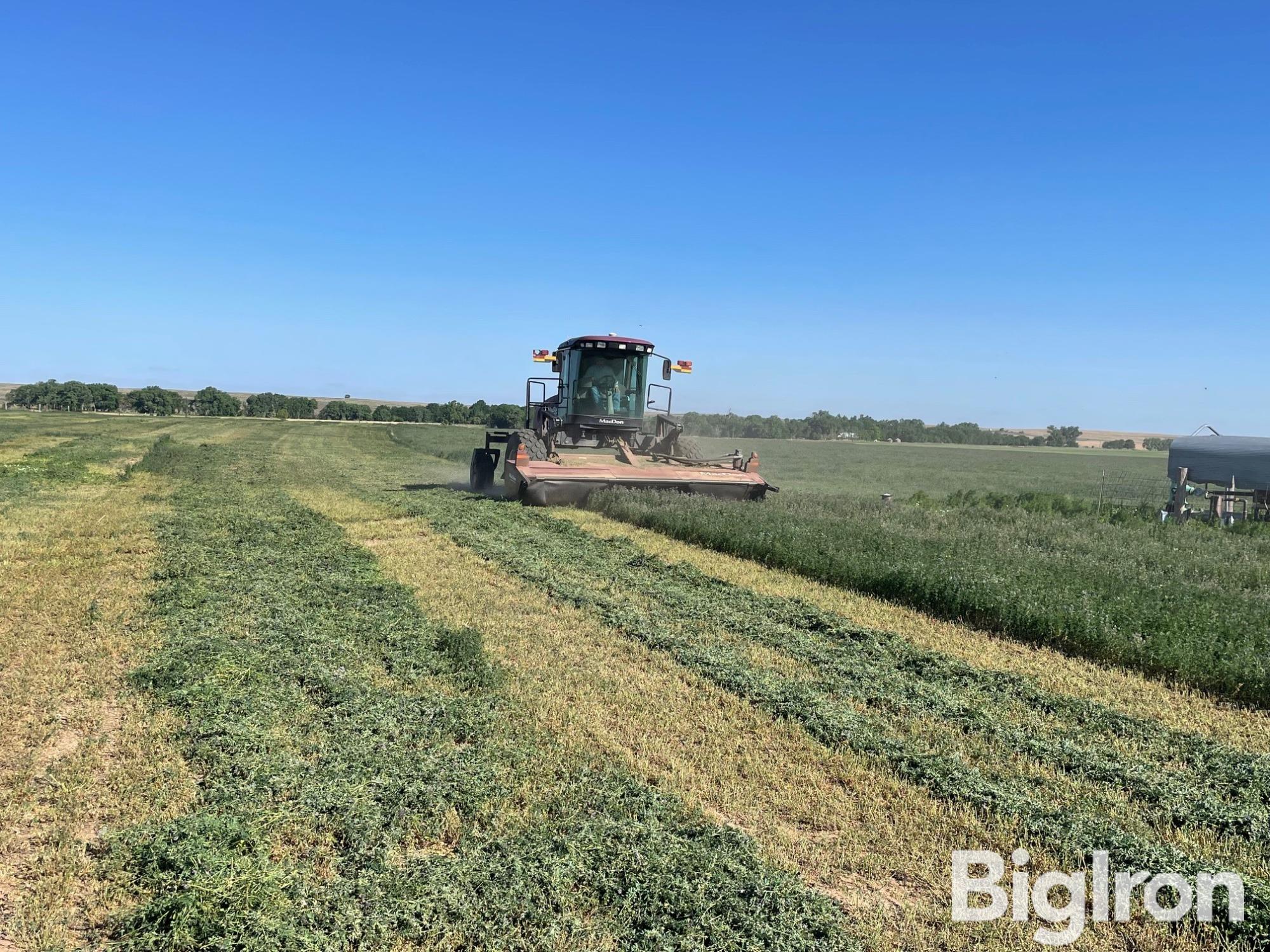 Alfalfa swathing 2.jpg