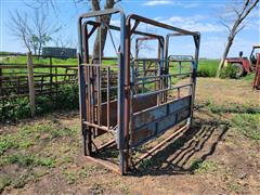 Rural MFG Portable Cattle Alley 