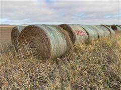 Grass Hay Big Rounds 