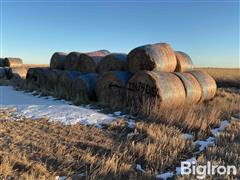 Oat Hay 