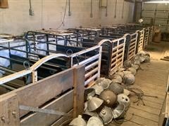 Farrowing Crates 