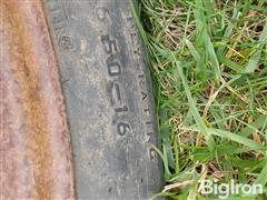 20250618_144603.jpg