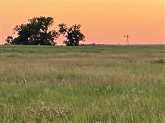 Tract 2: 40+/- Acres Campbell County, SD
