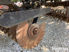 IMG_7253.jpeg