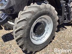 IMG_3875.jpeg