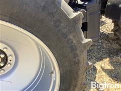 IMG_3879.jpeg