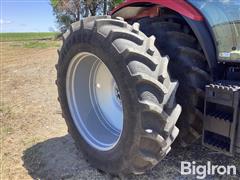 IMG_3880.jpeg