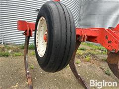 IMG_4093.jpeg