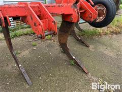 IMG_4091.jpeg