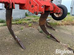 IMG_4092.jpeg