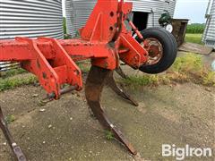 IMG_4090.jpeg