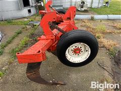 IMG_4080.jpeg