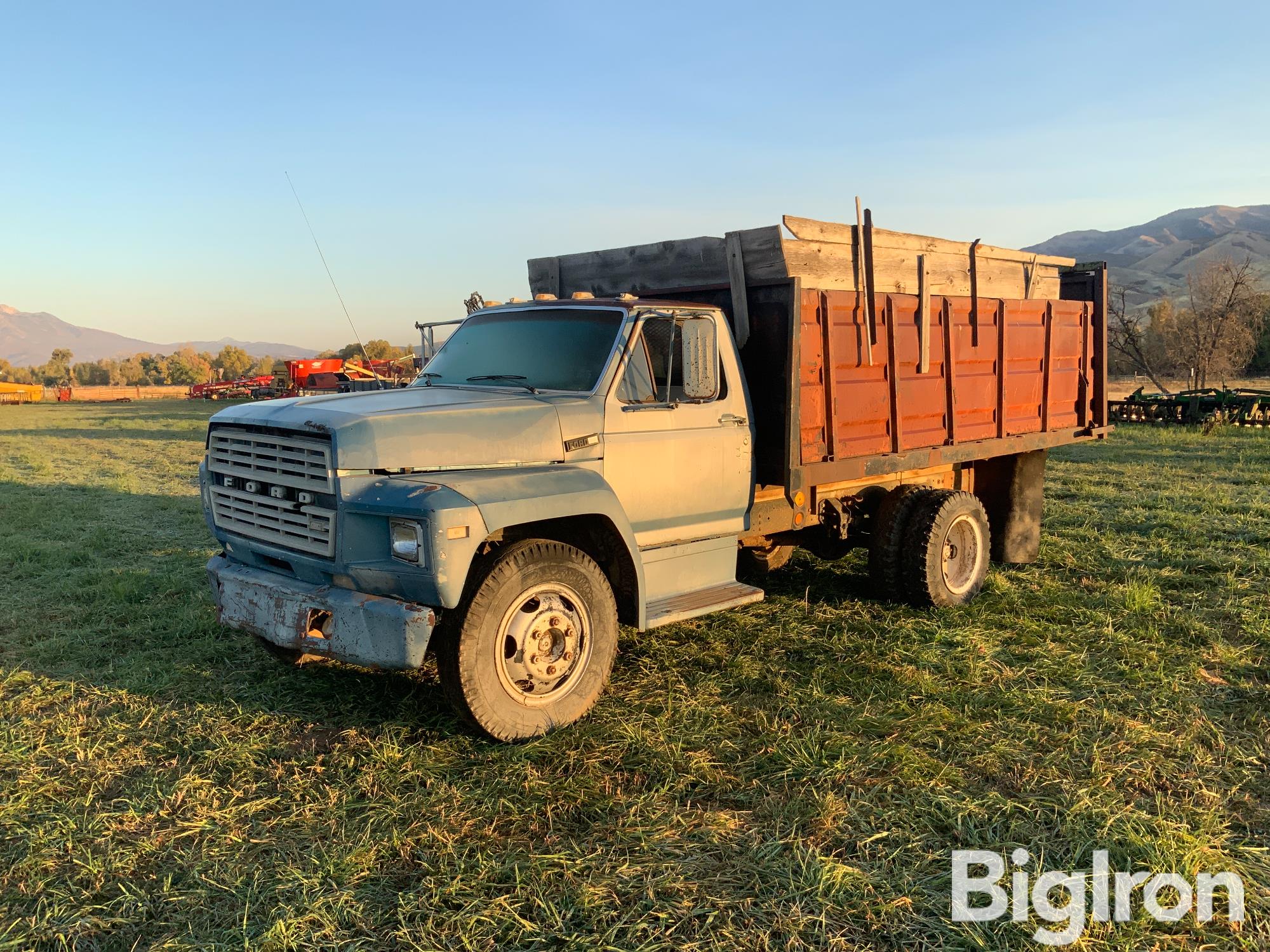 1980 Ford F600 S/A Grain Truck 