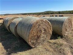 Prairie Grass Hay 