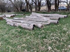 Walnut Logs 