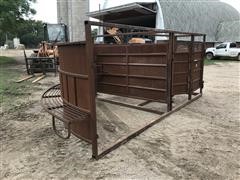 Real Cattle Working Tub 