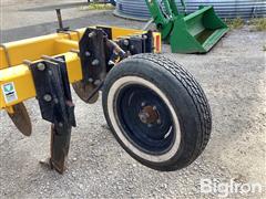 IMG_5983.jpeg
