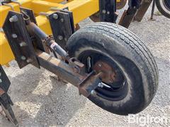 IMG_5989.jpeg