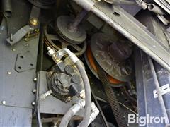 DSC_6966.JPG