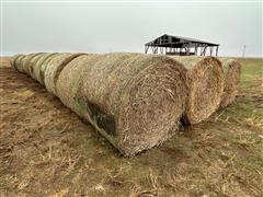 items/0b7895cc0792ee1192bd000d3ad43525/34bales2023crphay-2_7eeb34fa60e94c0f942efdd5deb078d3.jpg