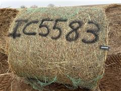 items/0b7895cc0792ee1192bd000d3ad43525/34bales2023crphay-2_9ad3dc3a8a1749c199f5cc0783dd34a0.jpg