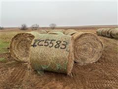 items/0b7895cc0792ee1192bd000d3ad43525/34bales2023crphay-2_ae2fa9c7597746639d17c60c234b5836.jpg