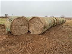 34 Bales 2023 CRP Hay 