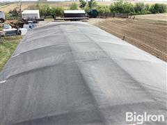 IMG_2237.jpeg