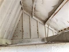IMG_2225.jpeg