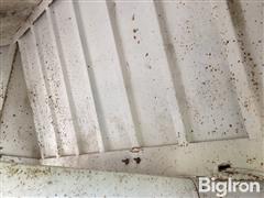 IMG_2219.jpeg