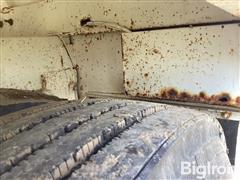 IMG_2223.jpeg