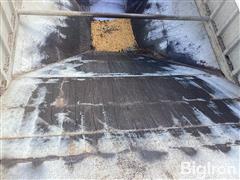 IMG_2248.jpeg