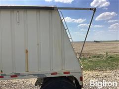IMG_2177.jpeg