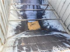 IMG_2244.jpeg