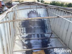 IMG_2245.jpeg