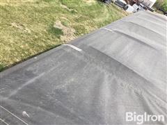 IMG_2241.jpeg