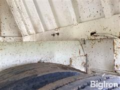 IMG_2224.jpeg