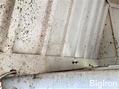IMG_2226.jpeg