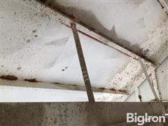IMG_2221.jpeg