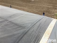 IMG_2240.jpeg