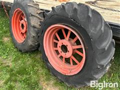 IMG_1123.jpeg