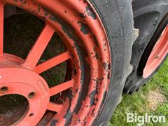 IMG_1130.jpeg