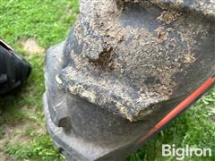 IMG_1139.jpeg