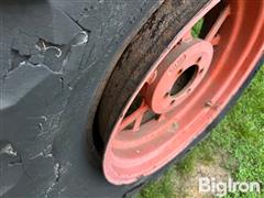 IMG_1145.jpeg