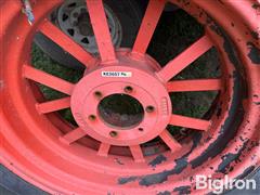 IMG_1128.jpeg