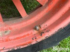 IMG_1142.jpeg