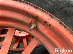 IMG_1157.jpeg