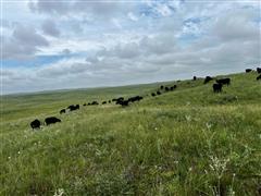 Tract 2: 1,608.96+/- Acres Continuous Ranchland, Brown County, NE
