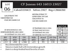 Lot 6 Pedigree.JPG