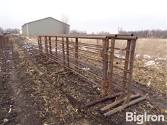 Freestanding 24' Steel Livestock Panels 